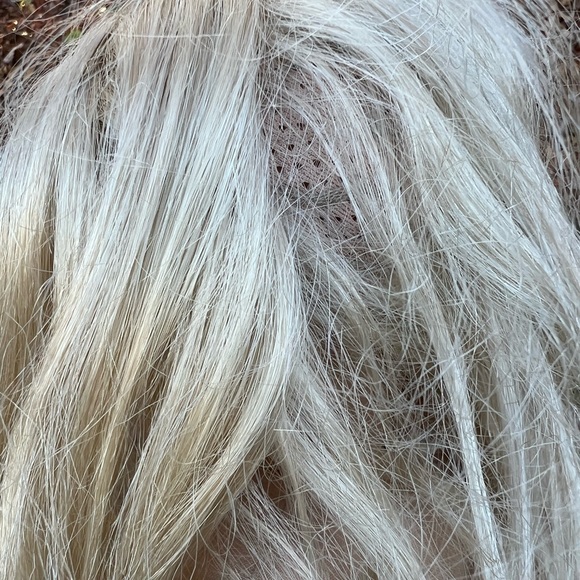 American Girl Doll PLEASANT COMPANY Blonde MESSY Hair Brown Eyes Body Marks TLC - Picture 15 of 16